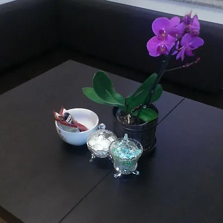 Foco Apartment